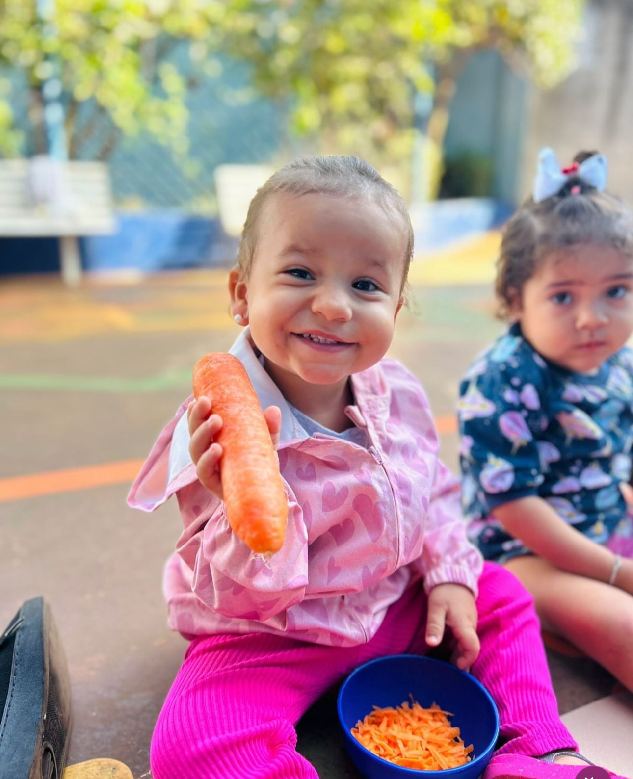 Alimentação Saudável